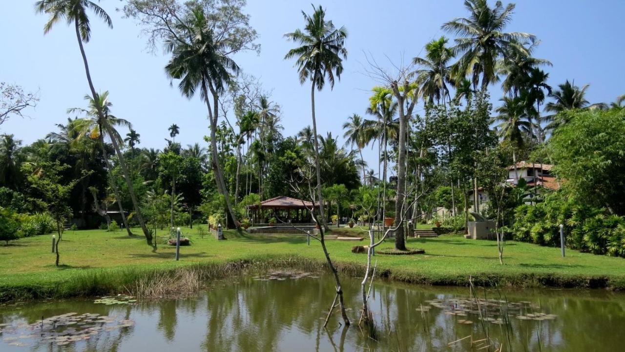 Avalon Village Resort Induruwa Exteriör bild