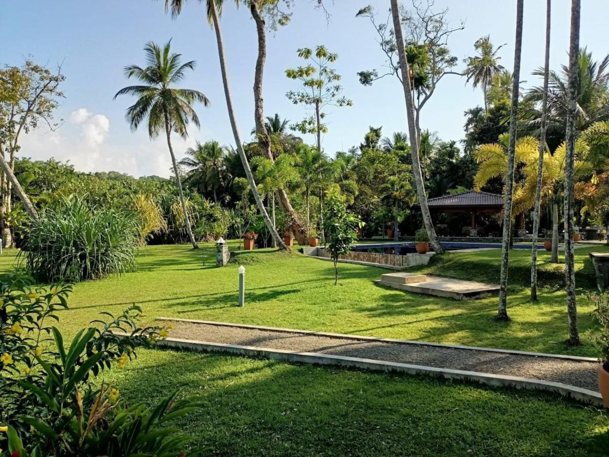 Avalon Village Resort Induruwa Exteriör bild