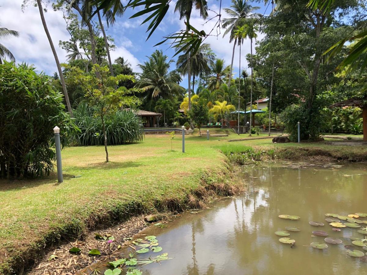 Avalon Village Resort Induruwa Exteriör bild