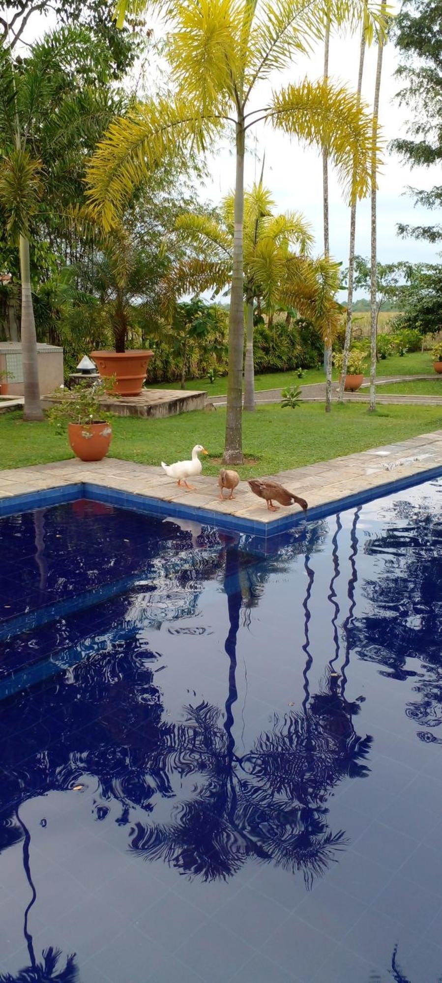 Avalon Village Resort Induruwa Exteriör bild