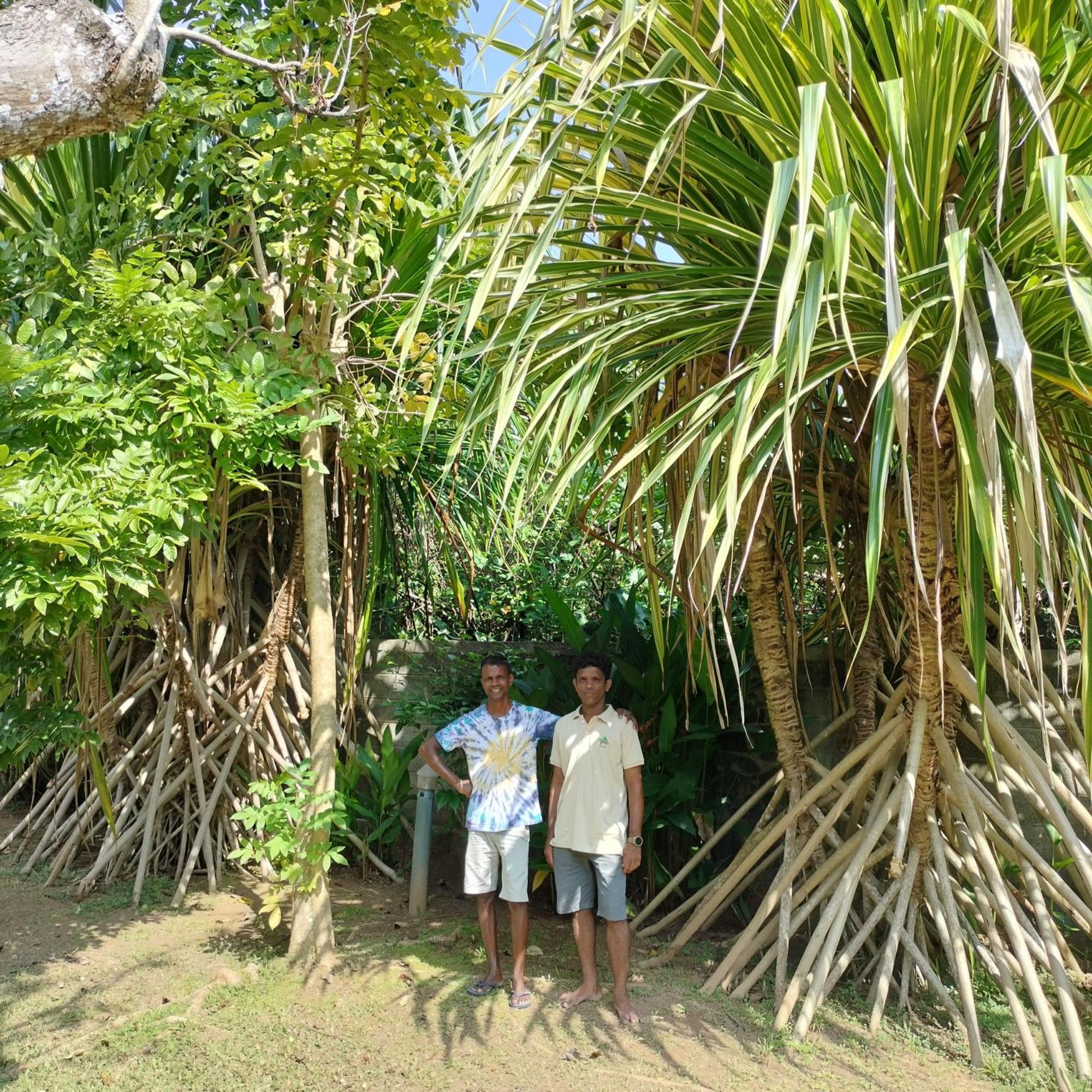 Avalon Village Resort Induruwa Exteriör bild