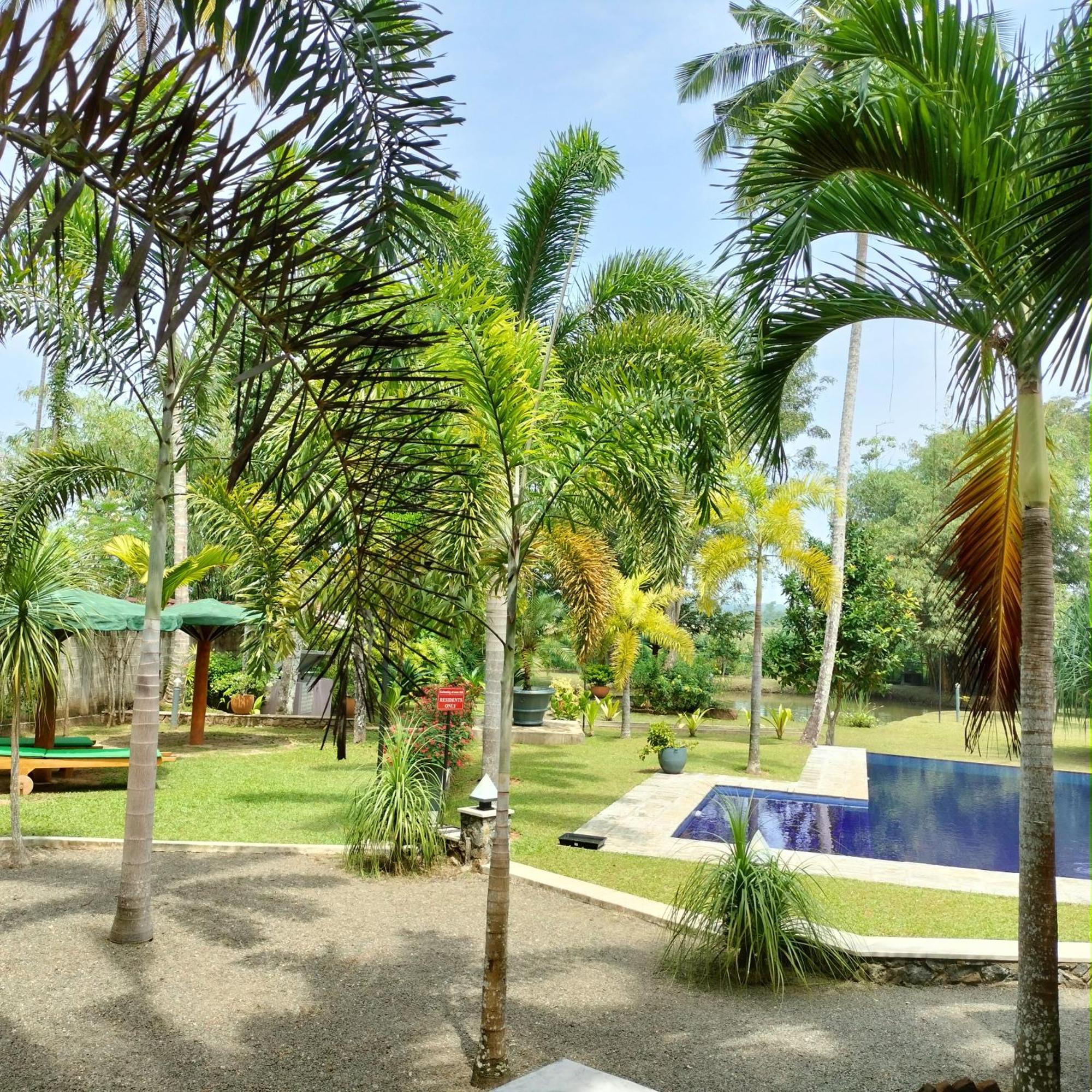 Avalon Village Resort Induruwa Exteriör bild
