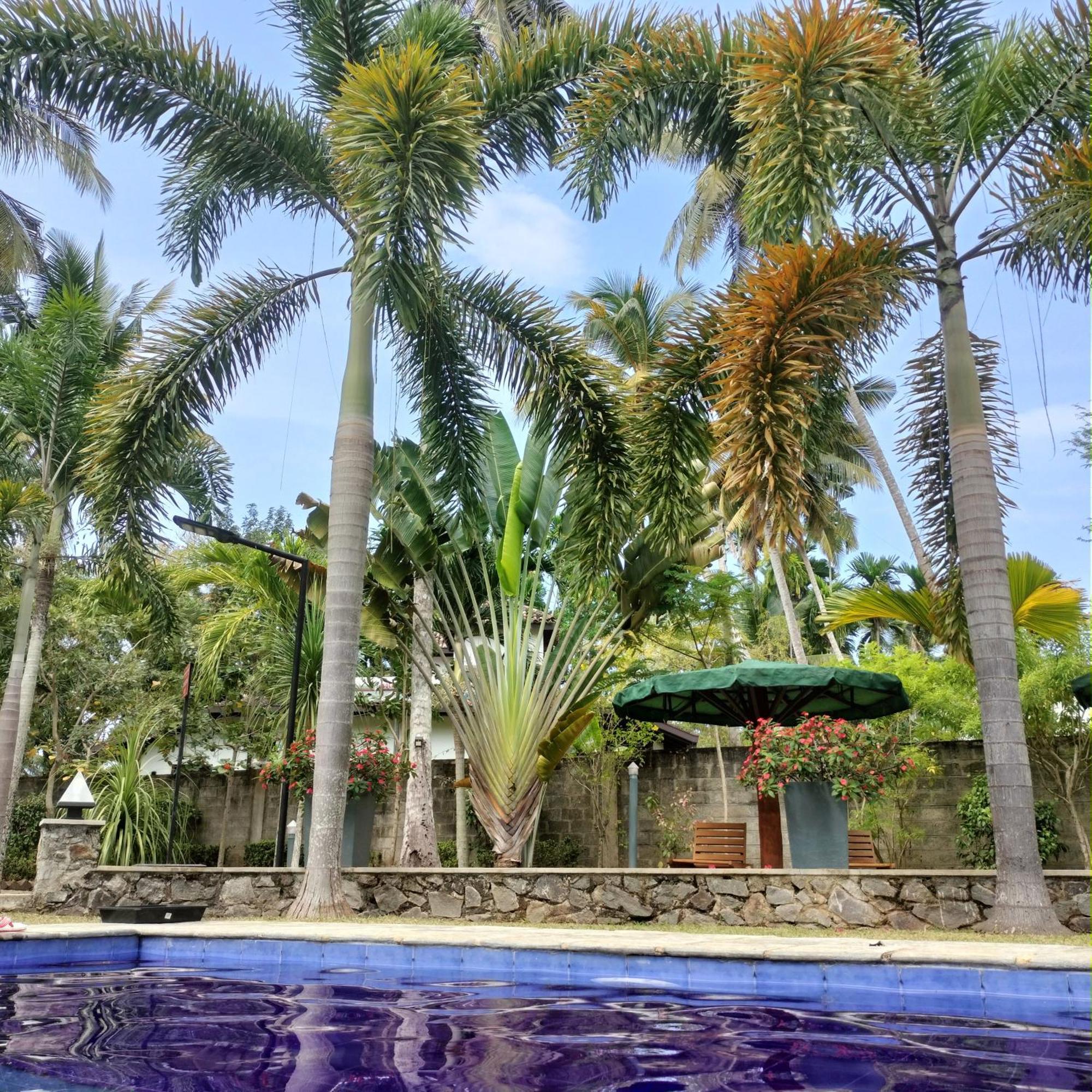 Avalon Village Resort Induruwa Exteriör bild