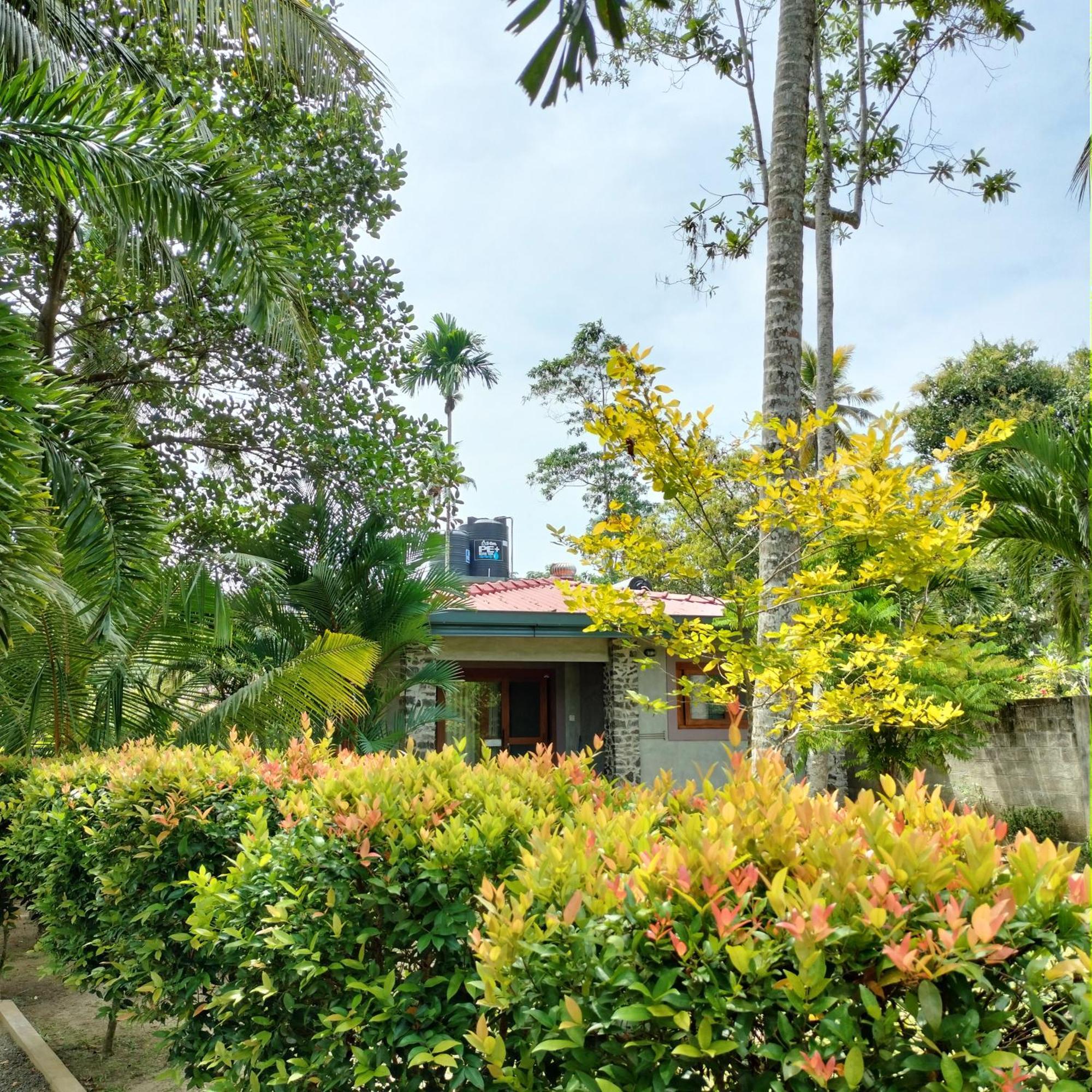 Avalon Village Resort Induruwa Exteriör bild