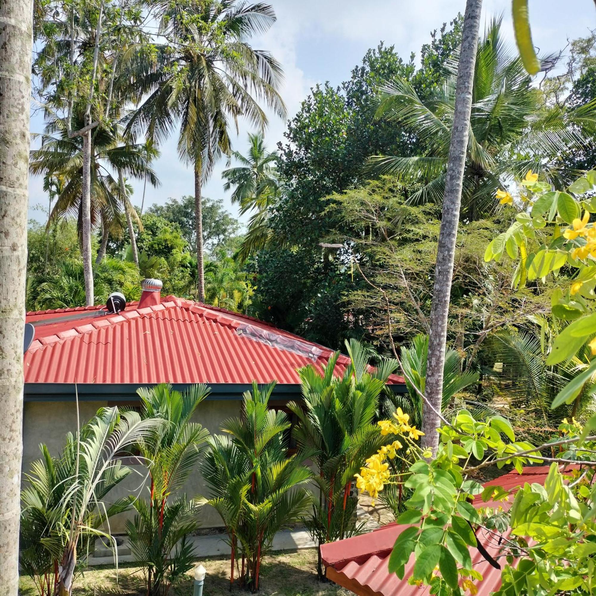 Avalon Village Resort Induruwa Exteriör bild