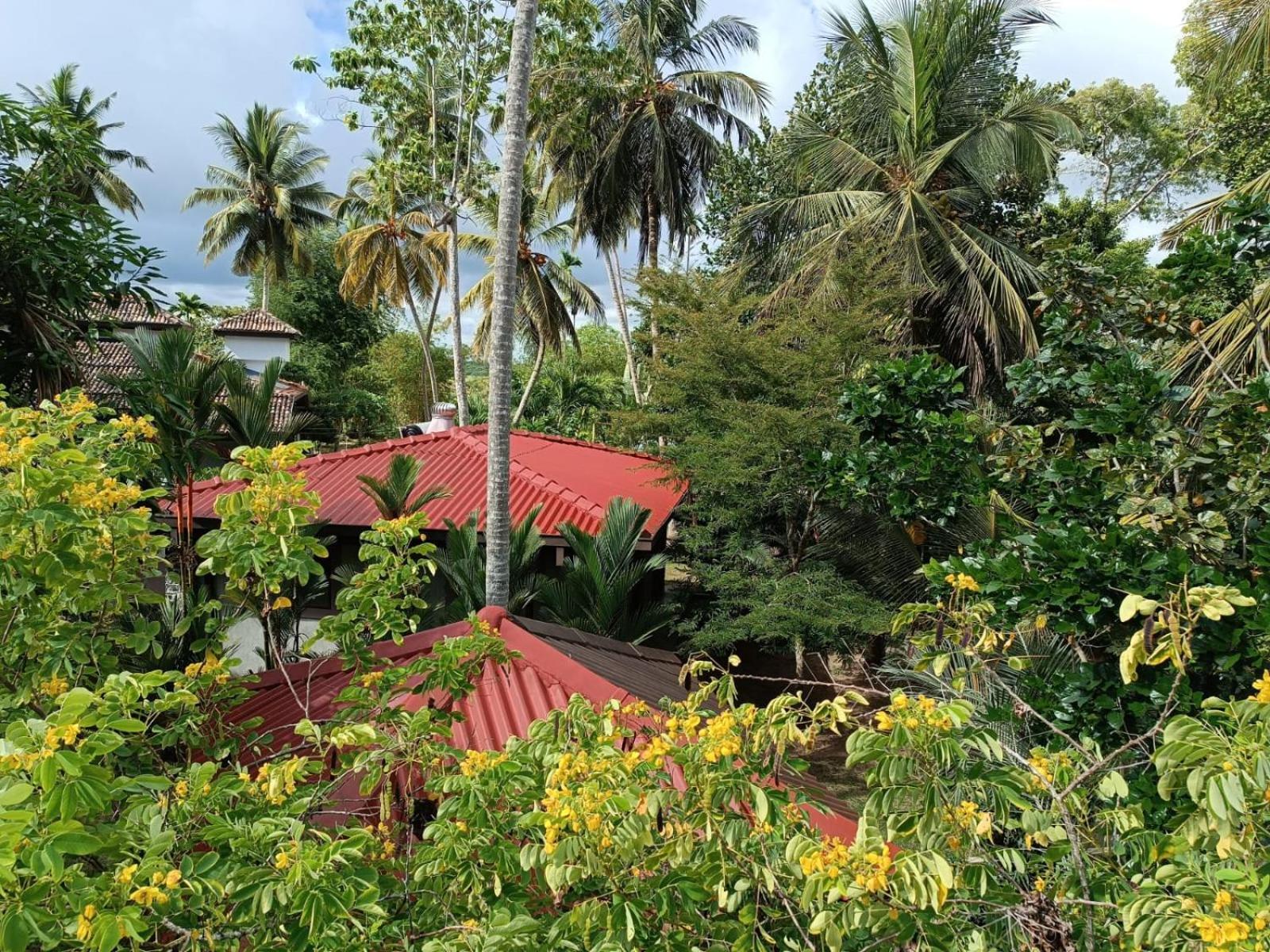 Avalon Village Resort Induruwa Exteriör bild