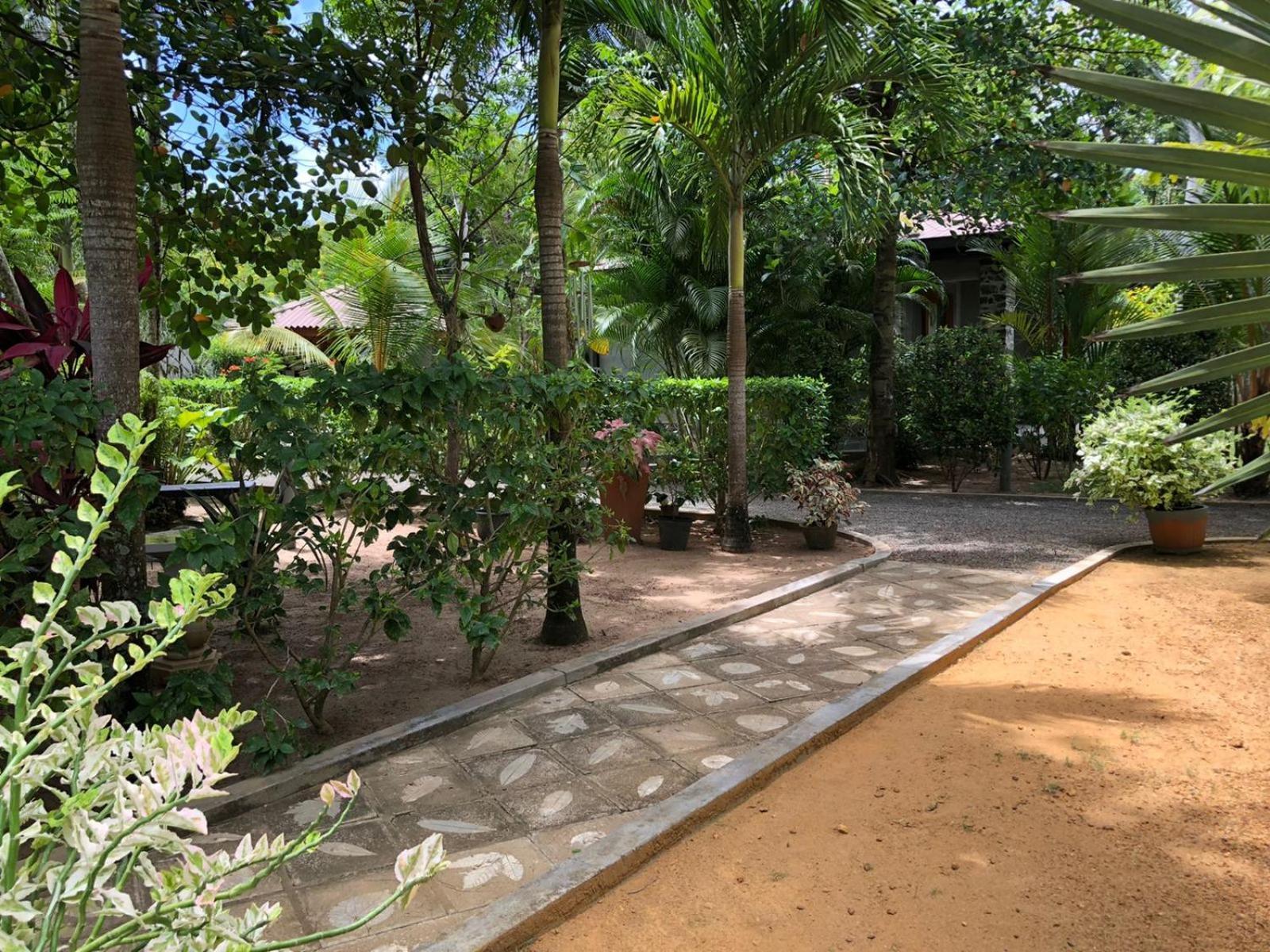 Avalon Village Resort Induruwa Rum bild